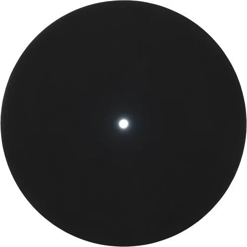 Profoto Connect Wireless Transmitter for Canon - BHM Store