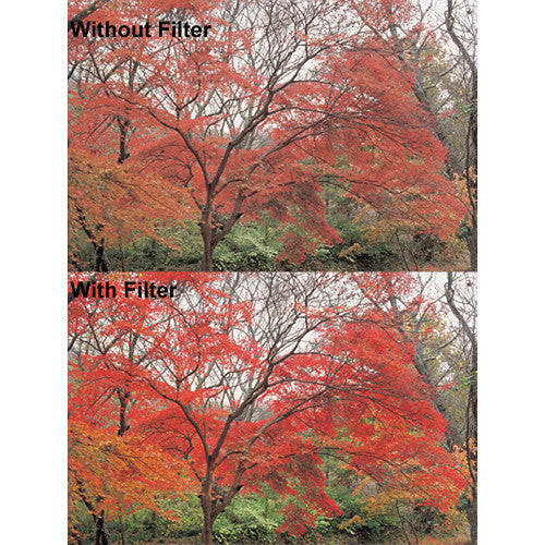Hoya Starscape RA54 Red Enhancer, Color Intensifier Filter