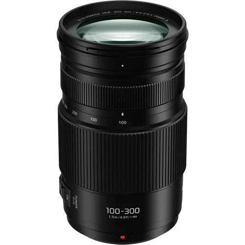Panasonic Lumix G Vario 100-300mm f/4-5.6 II POWER O.I.S. Lens - BHM Store