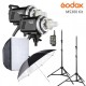 Godox MS300 2-Light Studio Flash Kit