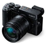 Panasonic Lumix G Vario 12-60mm f/3.5-5.6 ASPH. POWER O.I.S. Lens - BHM Store