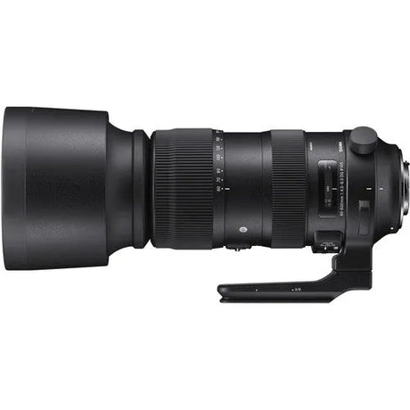 Sigma 60-600mm f/4.5-6.3 DG OS HSM Sports Lens (Canon EF) - BHM Store