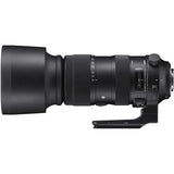 Sigma 60-600mm f/4.5-6.3 DG OS HSM Sports Lens (Nikon F) - BHM Store