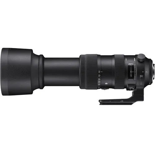 Sigma 60-600mm f/4.5-6.3 DG OS HSM Sports Lens (Nikon F) - BHM Store