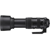 Sigma 60-600mm f/4.5-6.3 DG OS HSM Sports Lens (Nikon F) - BHM Store