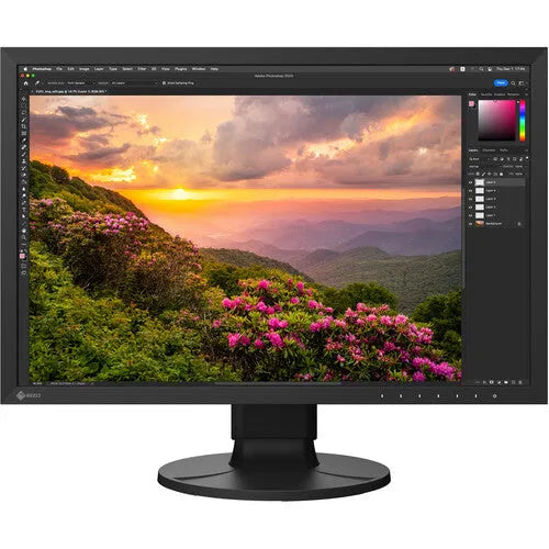 EIZO ColorEdge CS2400S 24.1" Monitor