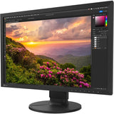 EIZO ColorEdge CS2400S 24.1" Monitor