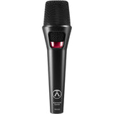 Austrian Audio OD303 Supercardioid Dynamic Handheld Vocal Microphone