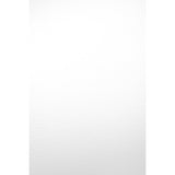 Savage Infinity Solid Vinyl Background 1.5 x 3.7m in 4 Colors