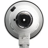 Sigma 300-600mm F4 DG OS Sports Lens