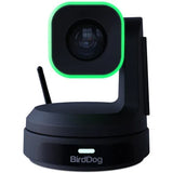 BirdDog X1 PTZ Camera with 20x Zoom (Black) - BHM Store