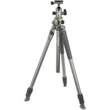 Vanguard Alta Pro 2+ 263AB100 Aluminum-Alloy Tripod Kit with Alta BH-100 Ball Head - BHM Store